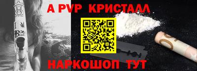соль ск Надым